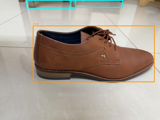 Same shoe still with bounding boxes applied